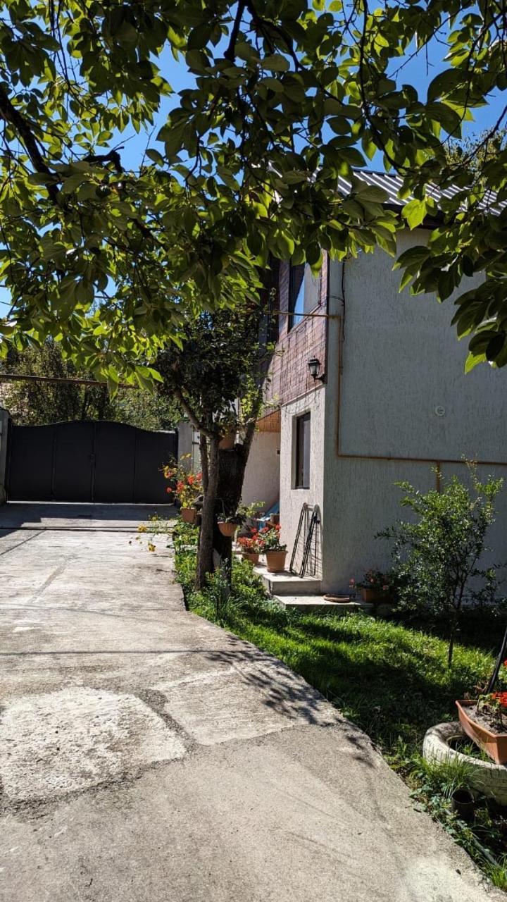 Vila Taripiri Ambrolauri Exteriér fotografie